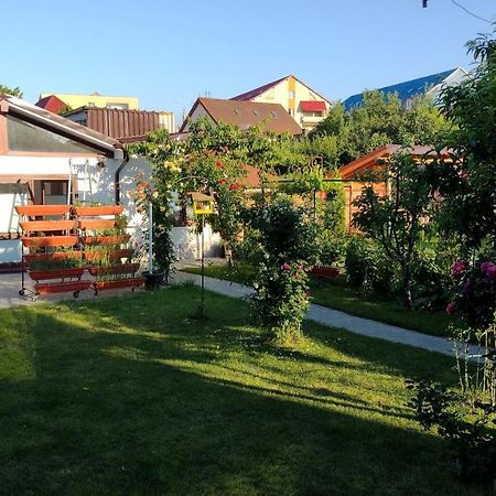 Apartamento Casa Ienciu Sibiu Exterior foto